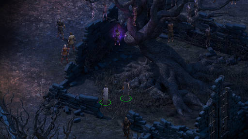 Pillars of Eternity - Прохождение сюжетной линии Pillars of Eternity. Акт I - Позолоченная Долина